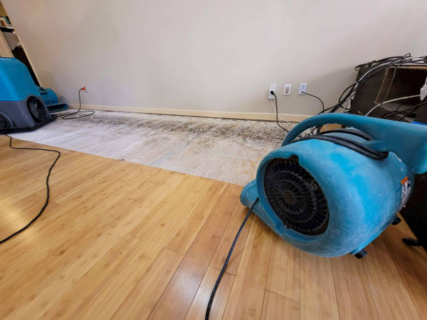 Professional Basement Flood Cleanup technician working in Changewater, NJ